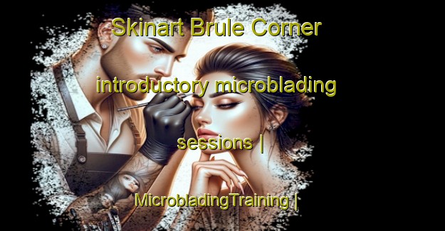 Skinart Brule Corner introductory microblading sessions | MicrobladingTraining | MicrobladingClasses | SkinartTraining-Canada